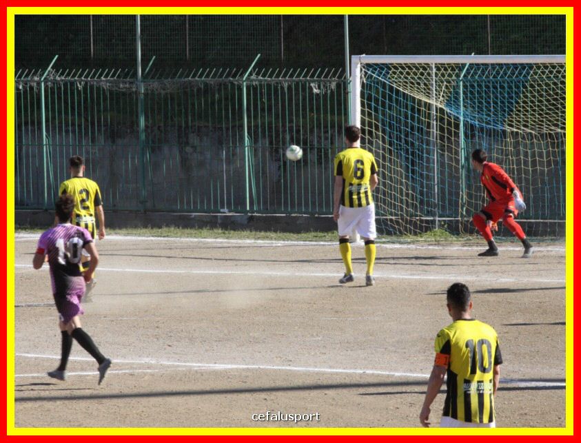 190310 Cephal_Torrenov 084_tn.jpg